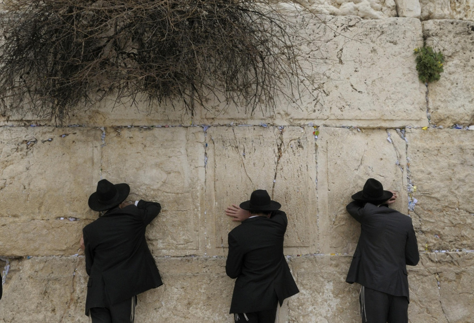    Michael Nitzschke/imageBROKER.com/Global Look Press