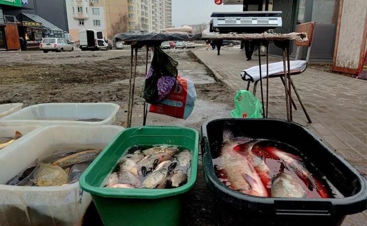 В Курске провели новый рейд против незаконной уличной торговли