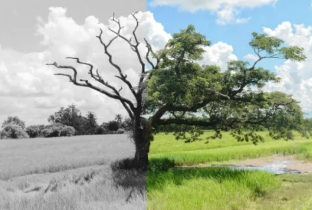 Из открытых источников 