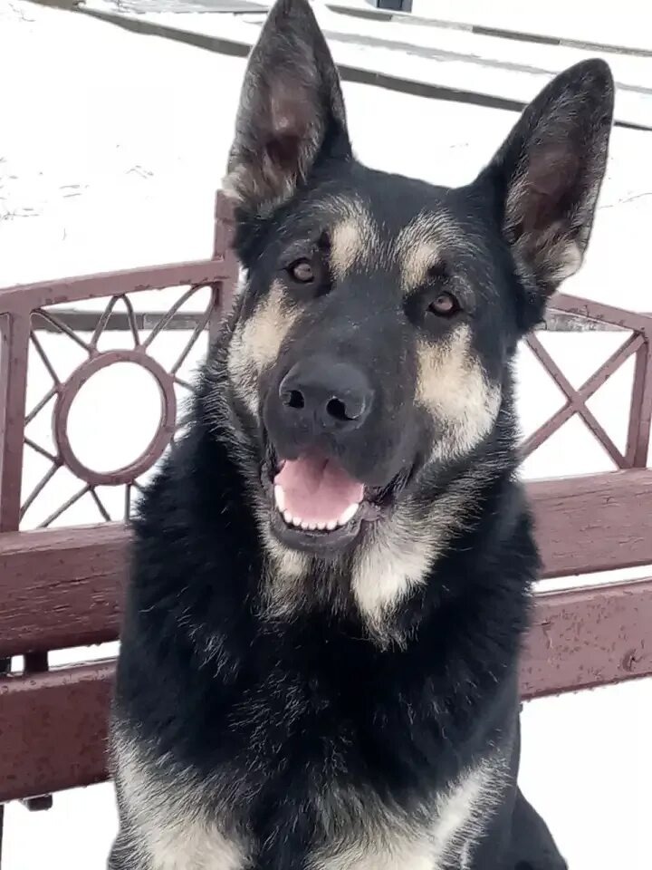 Фото из открытых источников