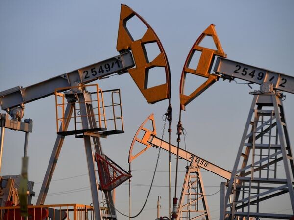    © РИА Новости Максим Богодвид