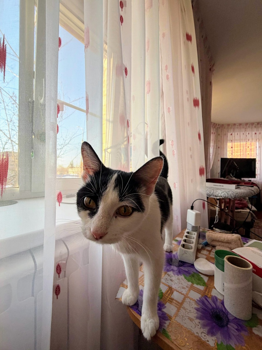 Ева в новом доме