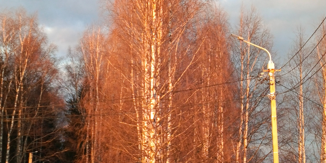 Повседневное. Как найти силы не упасть духом в изменившихся условиях