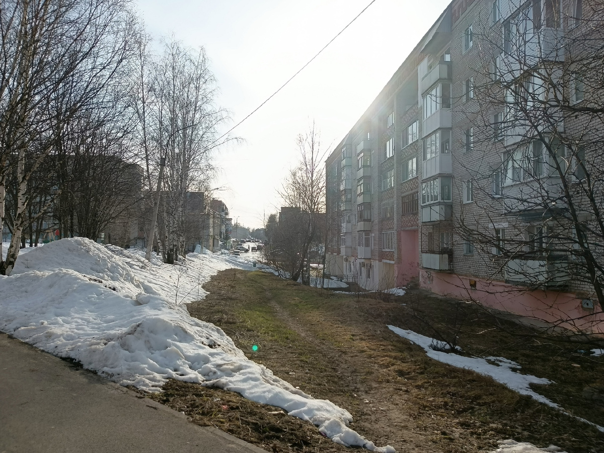 Фото сделано сыном.