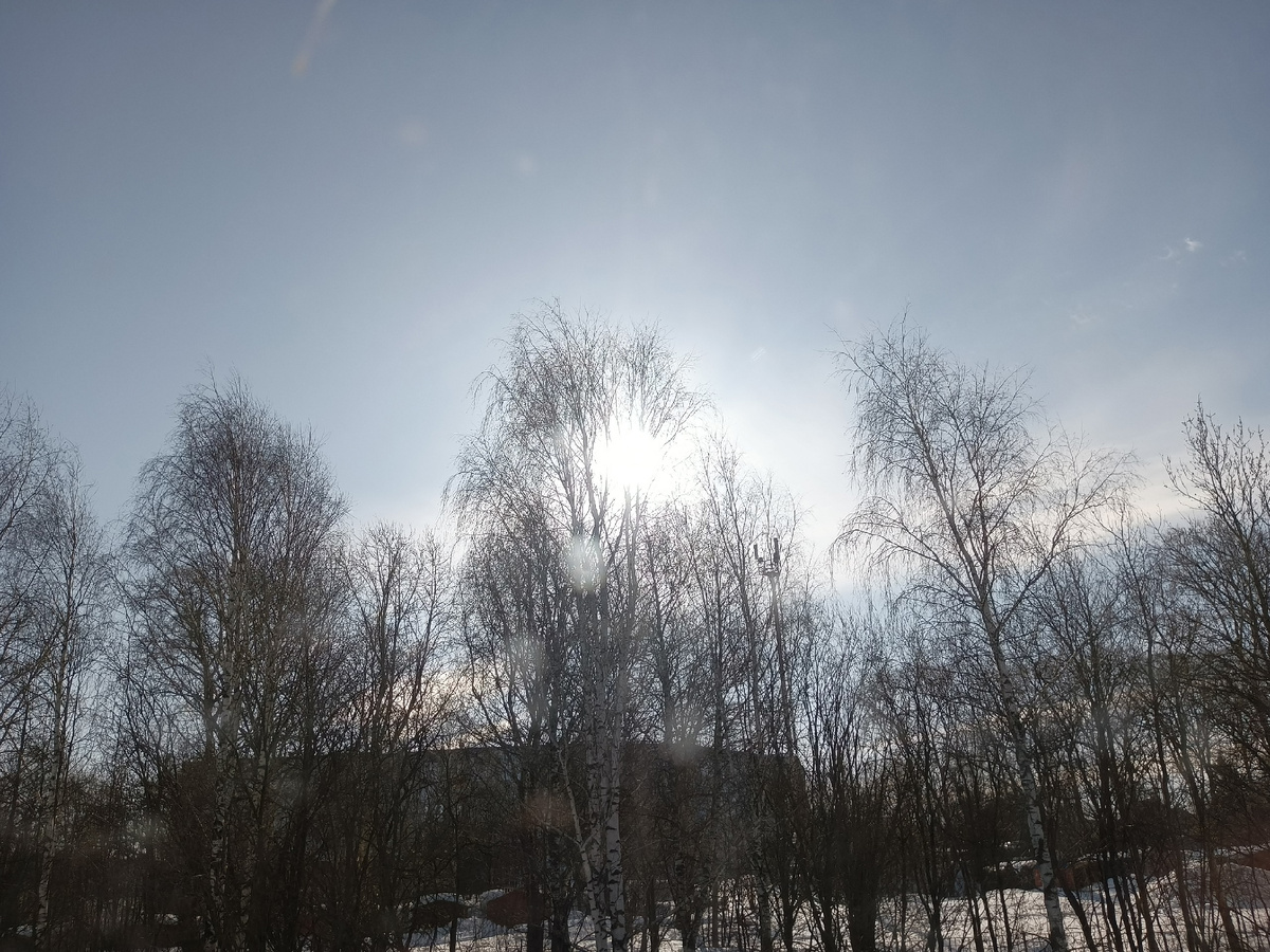 Фото сделано сыном.