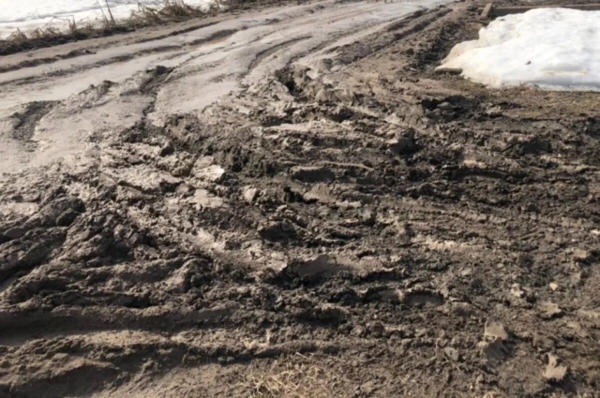    Жители Тверской области пожаловались Бастрыкину на разбитую фурами дорогу