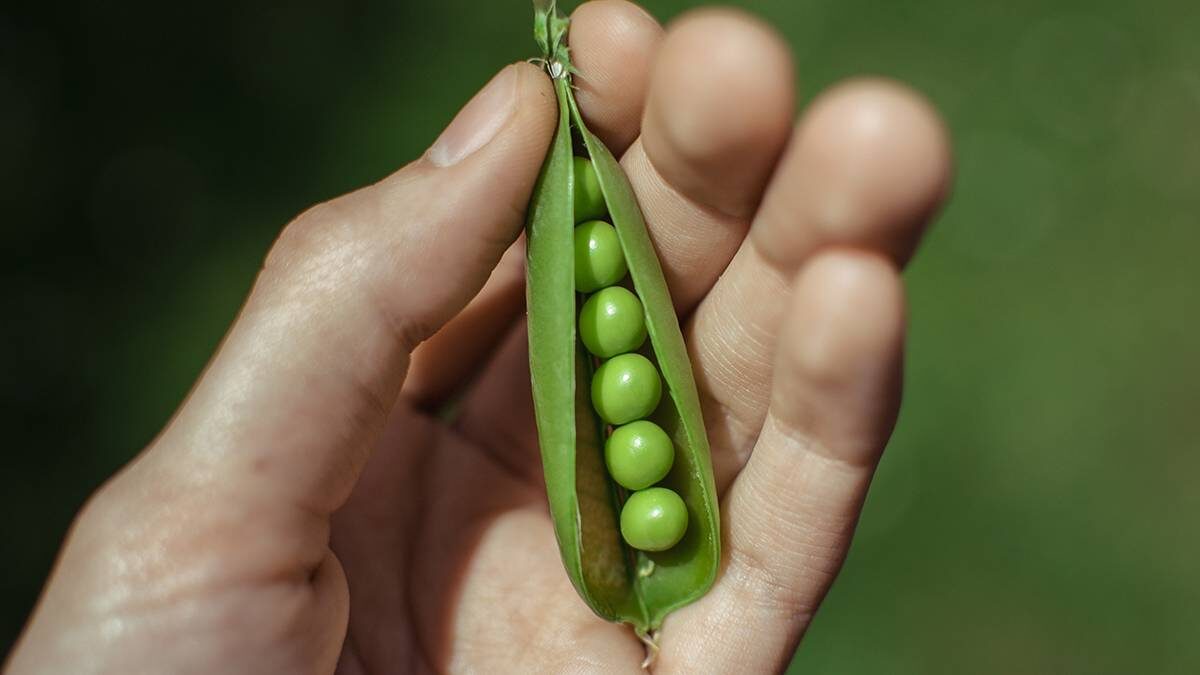    Фото: Shutterstock