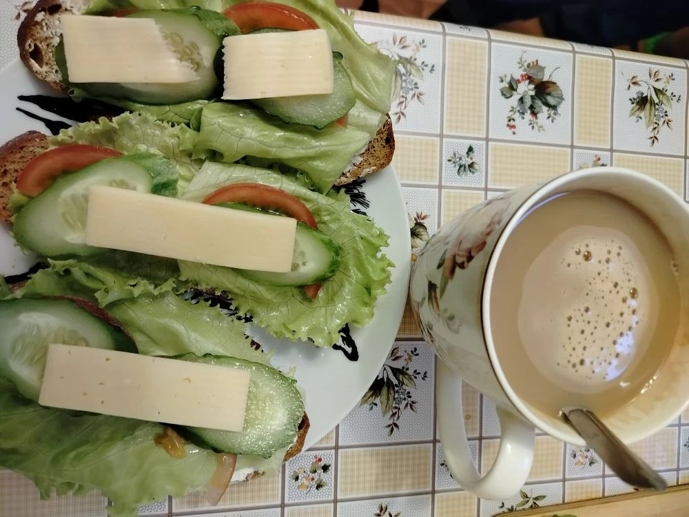 Хлеб, творожный сыр, салатные листья, огурец, помидоры и лёгкий сыр