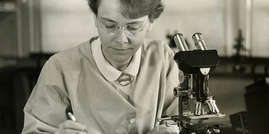 Если заниматься наукой, то станешь бесплодной. Как женщинам запрещали делать открытия?