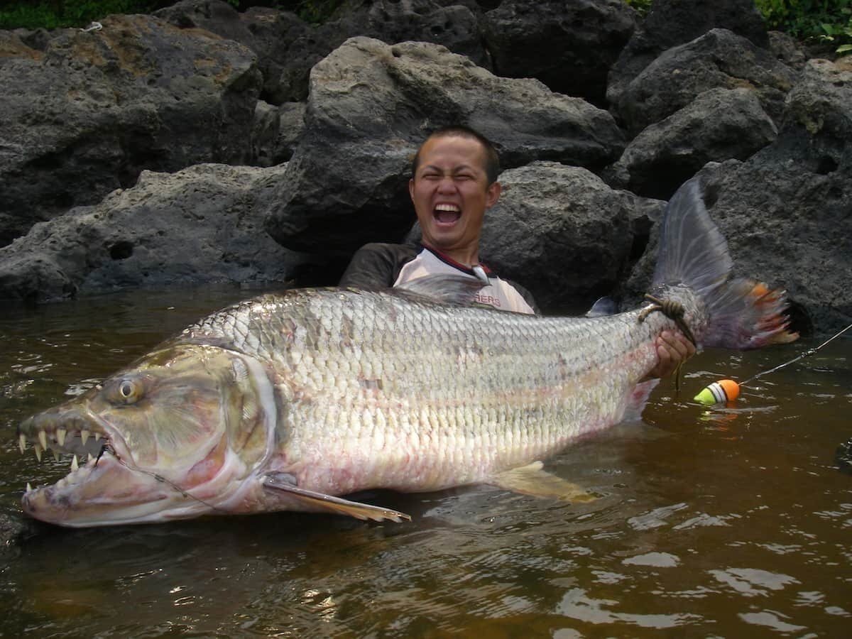 Этот удачливый рыбак поймал мбенгу
