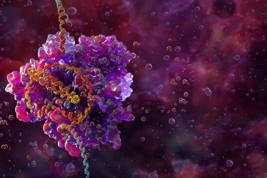     С помощью CRISPR прямо в организме создали иммунные клетки, способные бороться с раком