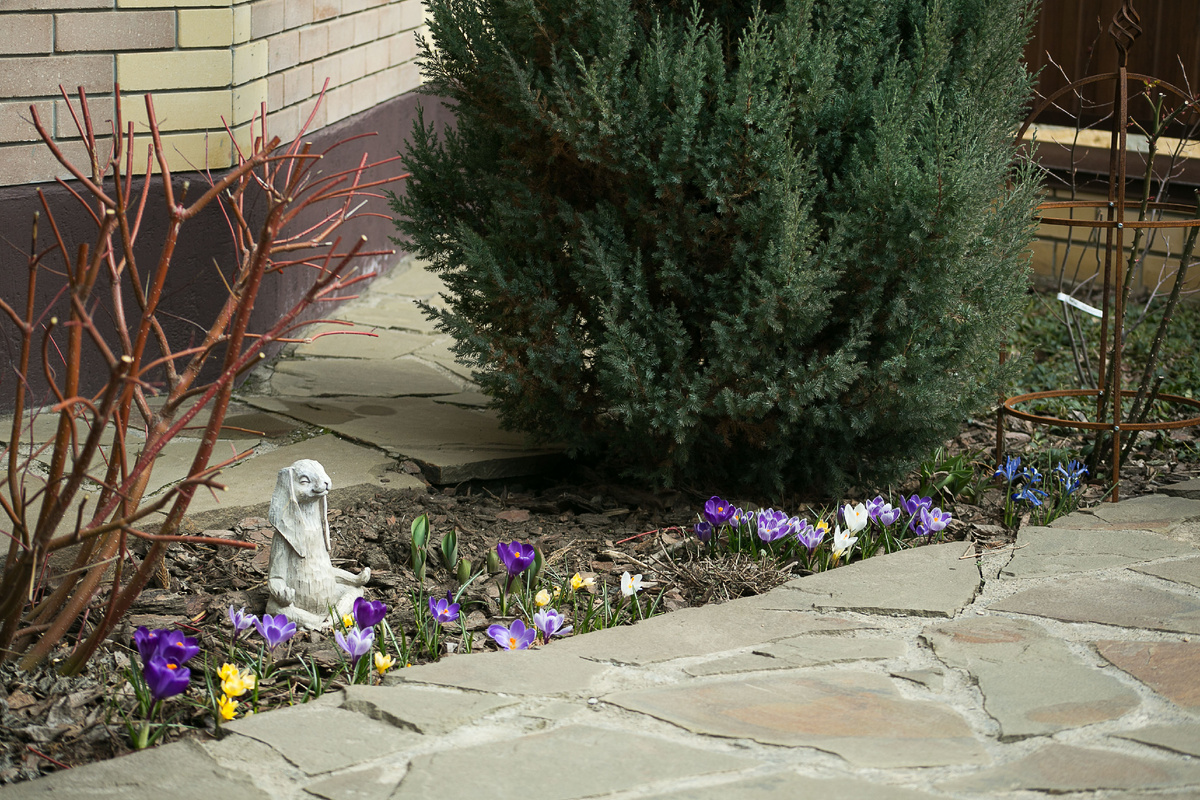 Автор фото Елена Якимова / Greenfingers