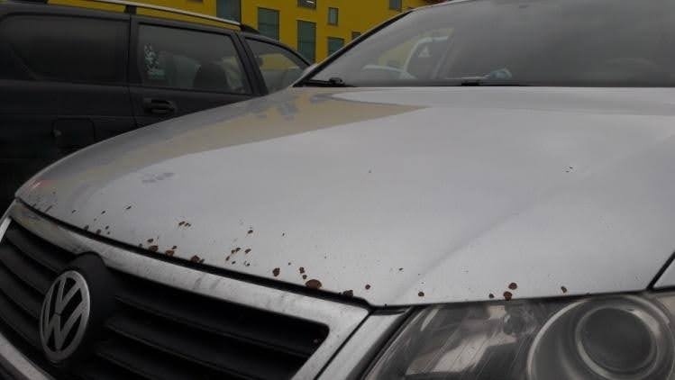 Фото из открытых источников 