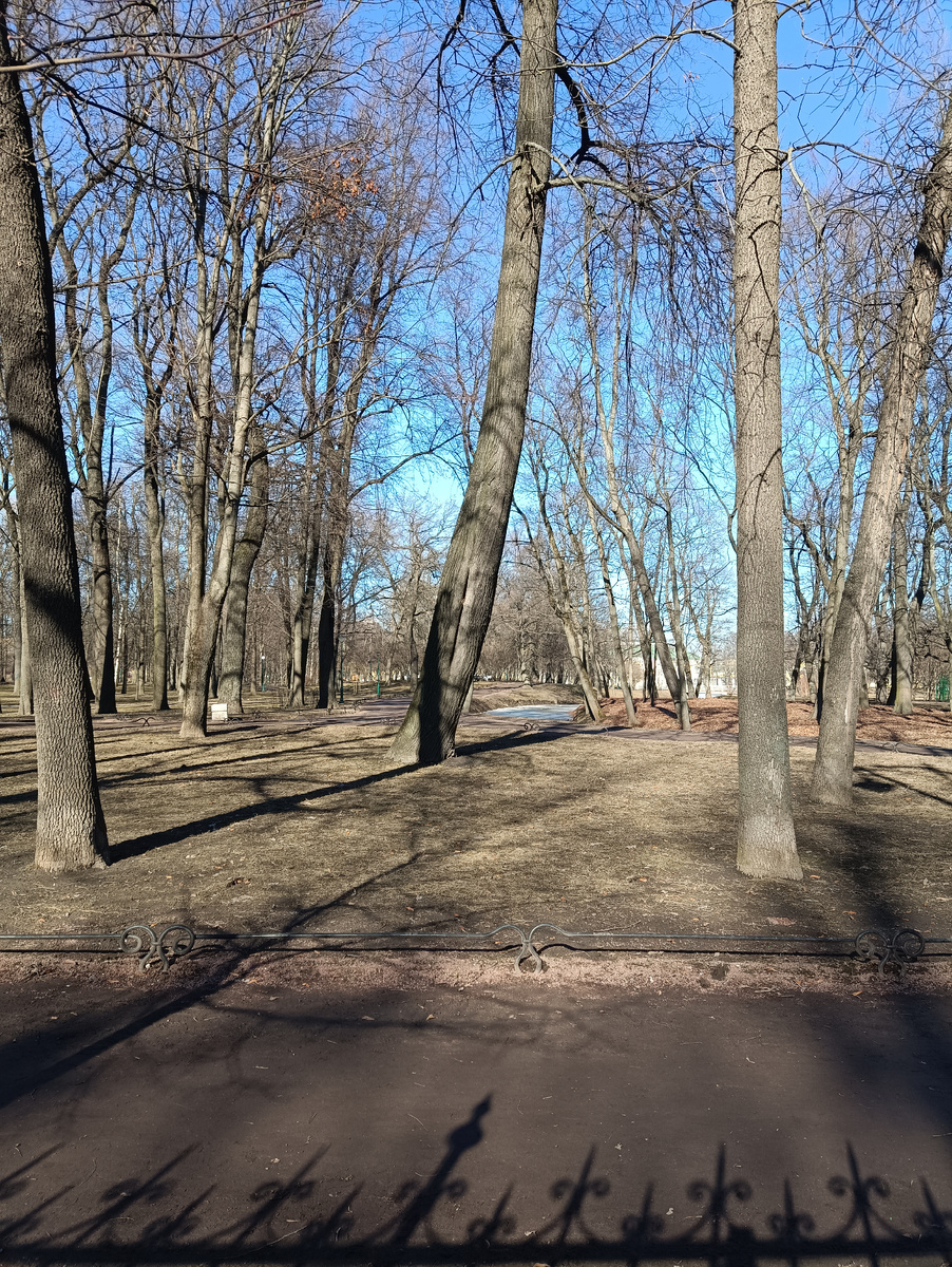 Фотография через прутья ограды!