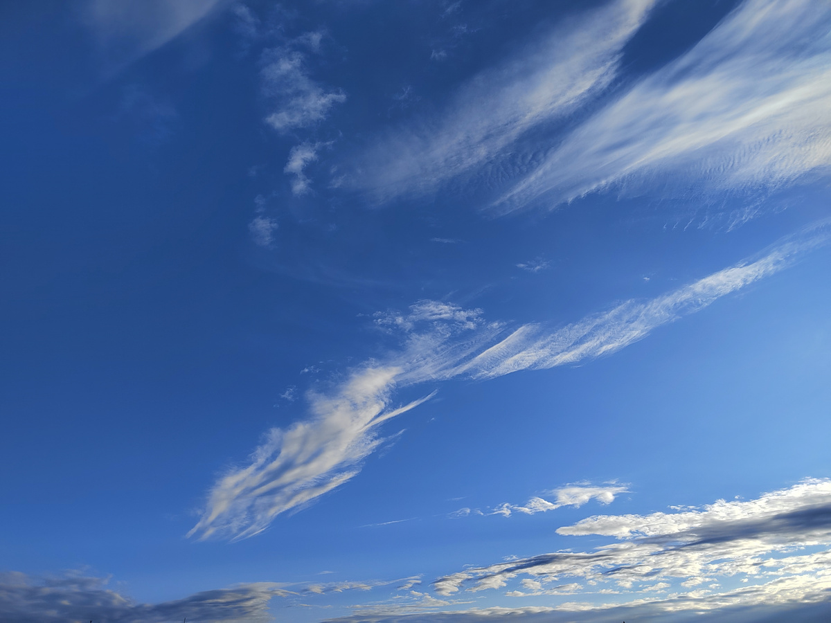 Фото из семейного альбома