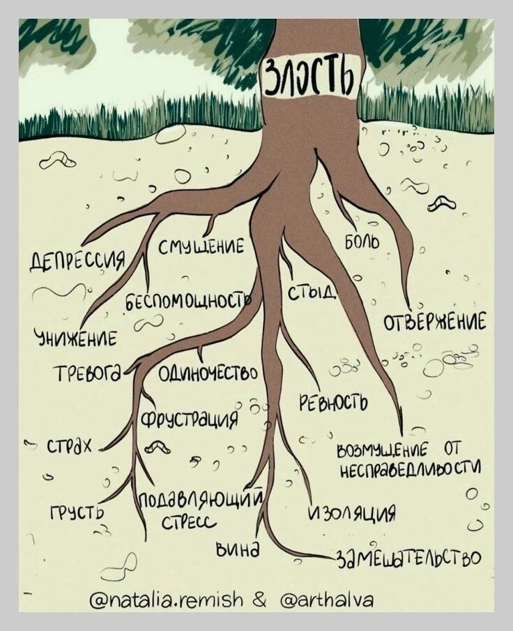 фото из открытого источника