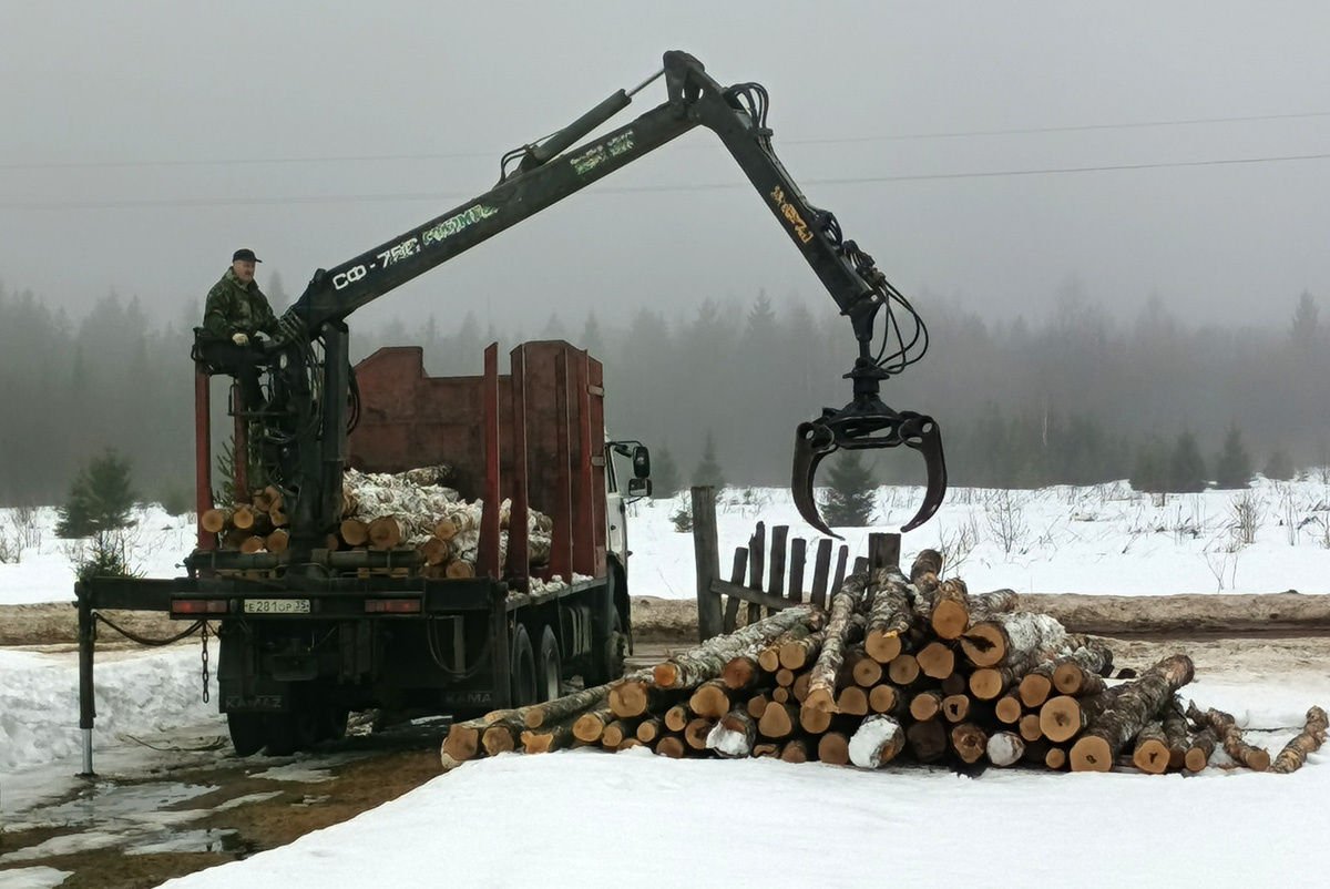 Саша в своей стихии