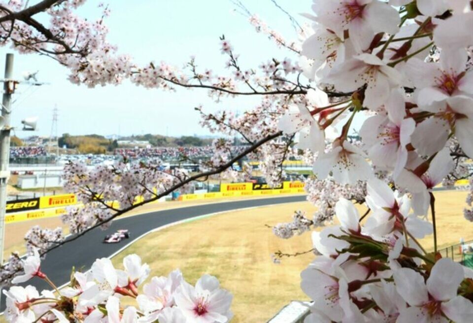    Расписание трансляций Гран При Японии Формулы 1 2026 годаLAT Images / Haas