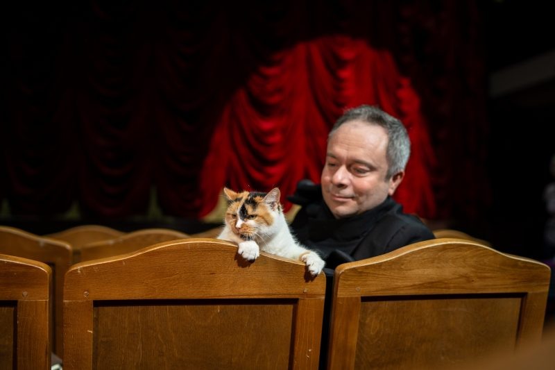 Фото: театр кошек Куклачёва.