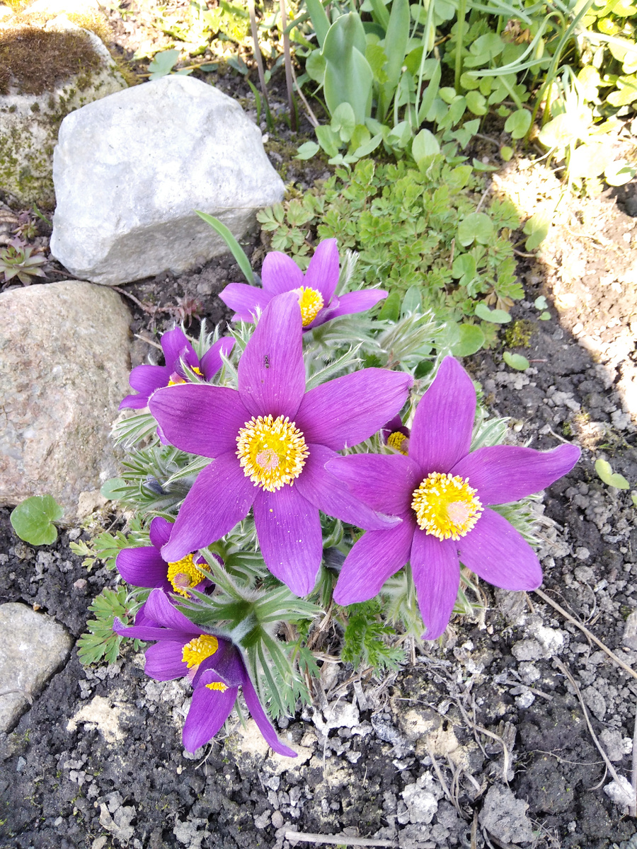 22 апреля 2025 года