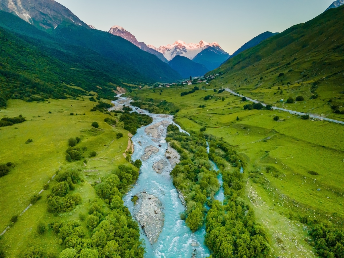 Olga_Gavrilova/istock