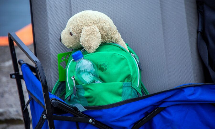     / Источник: © Jens Büttner/dpa/picture-alliance/ТАСС