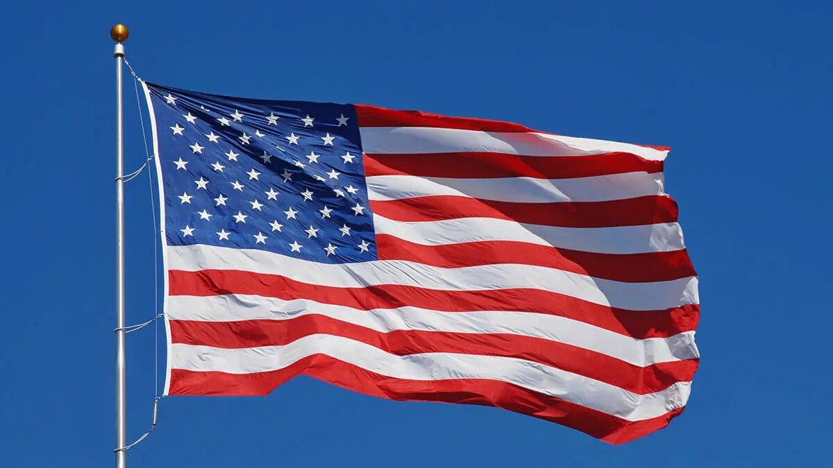    Источник: vm.ru/ Полина Потапова