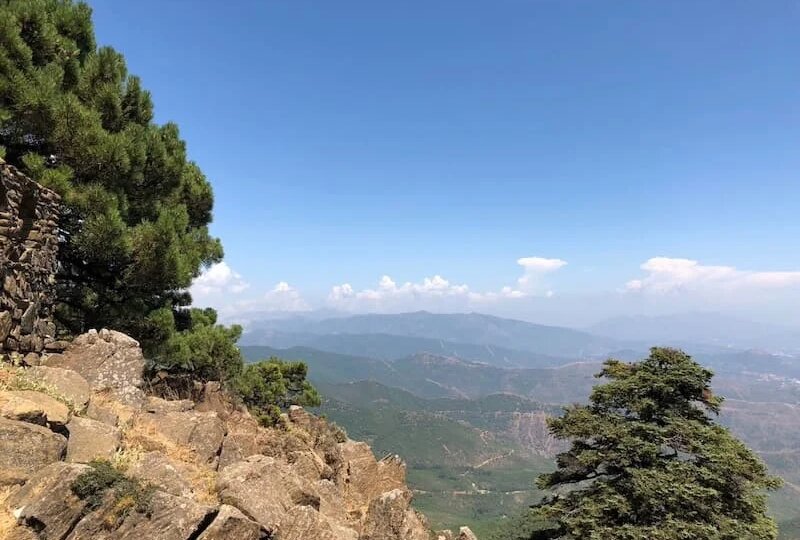 Гороскоп для всех знаков Зодиака на 21 марта 2026 года