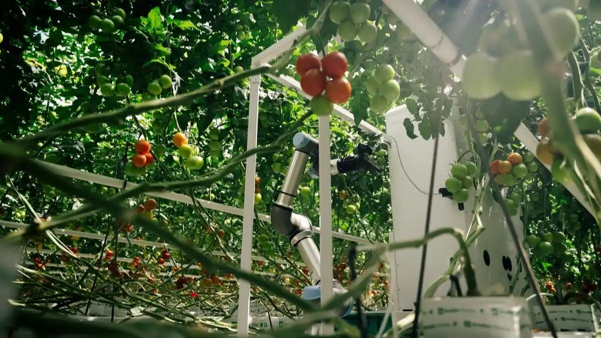 Фото:© eternal.ag
Полностью автономного робота для сбора урожая создали немецкие разработчики