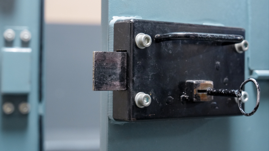    Фото: ИЗВЕСТИЯ/Эдуард Корниенко; 5-tv.ru