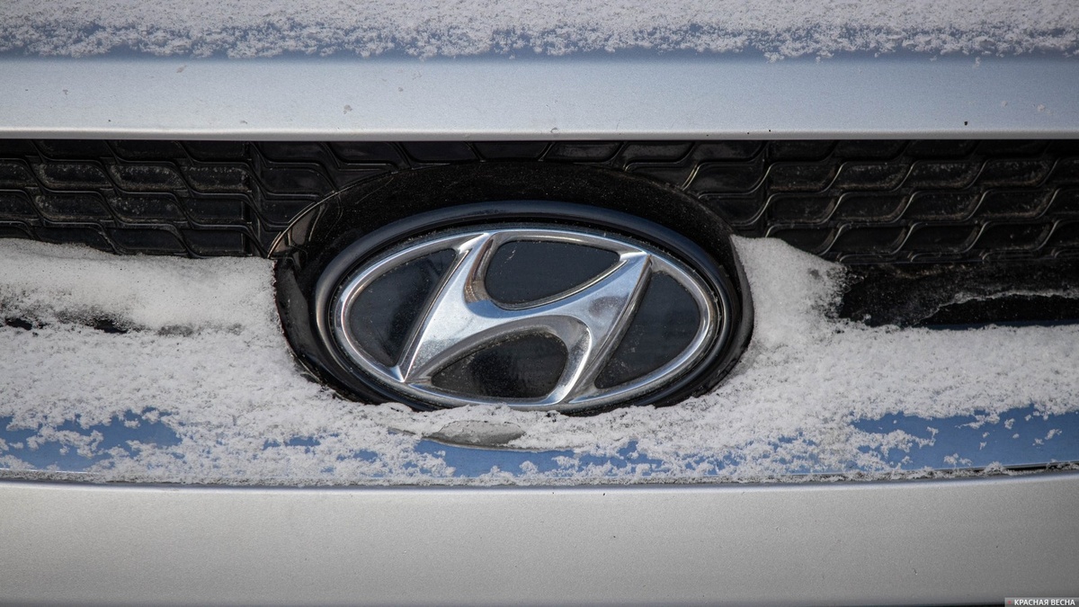     Автомобиль Hyundai   
Анна Рыжкова © ИА Красная Весна