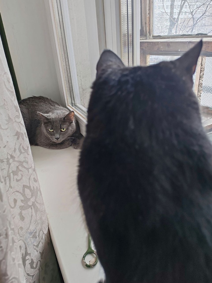 Где я? Кто ты?