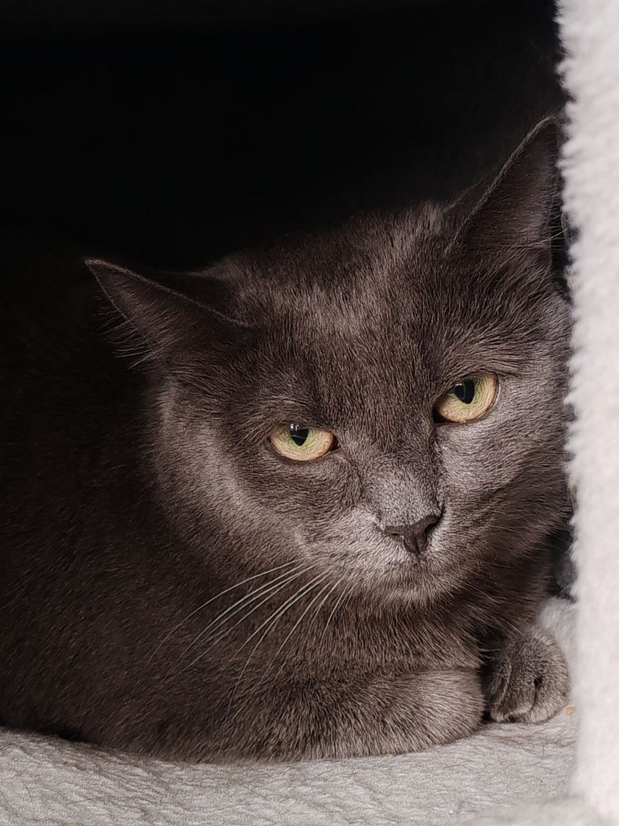 И снова здравствуйте!