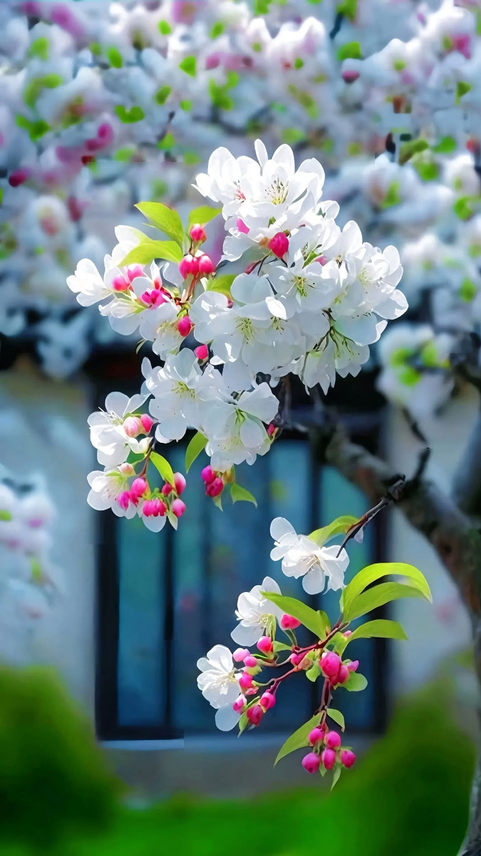 Фото из интернета