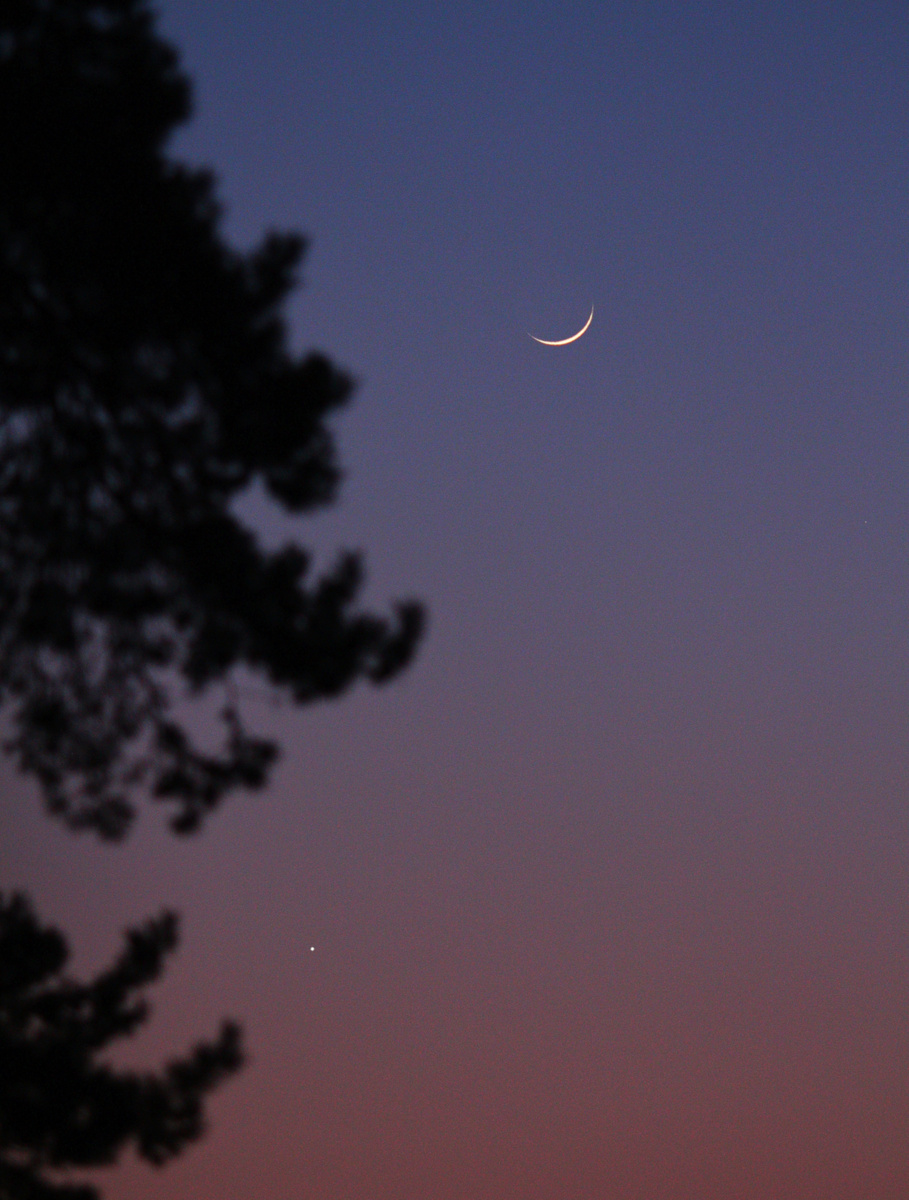 Луна и Венера 20 марта 2026 года, фото автора