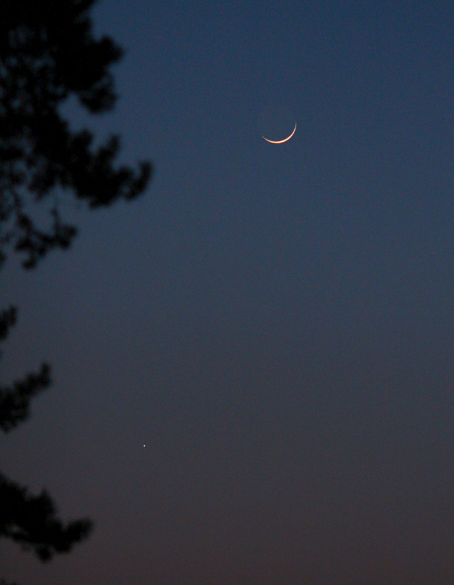 Луна и Венера 20 марта 2026 года, фото автора