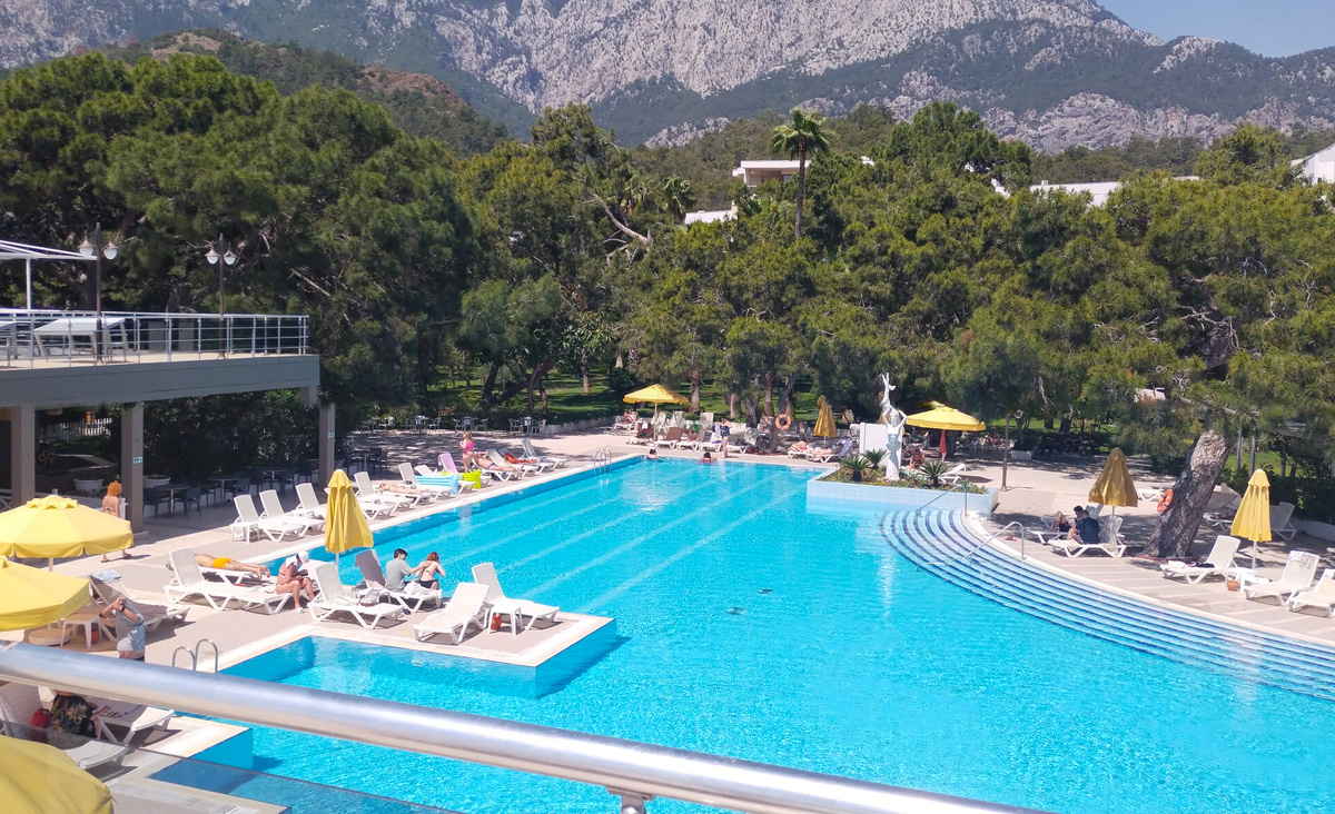 Территория зелёная на фоне гор