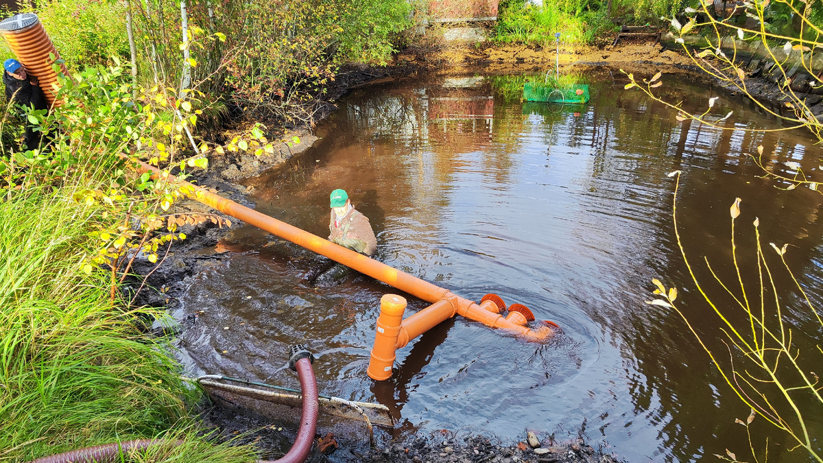 А тут хорошо видно, как сильно мы понижали уровень воды в пруду! И что под водозаборами ещё около метра воды! Так что если их будет видно - можно будет спокойно принимать меры, а не в панике.