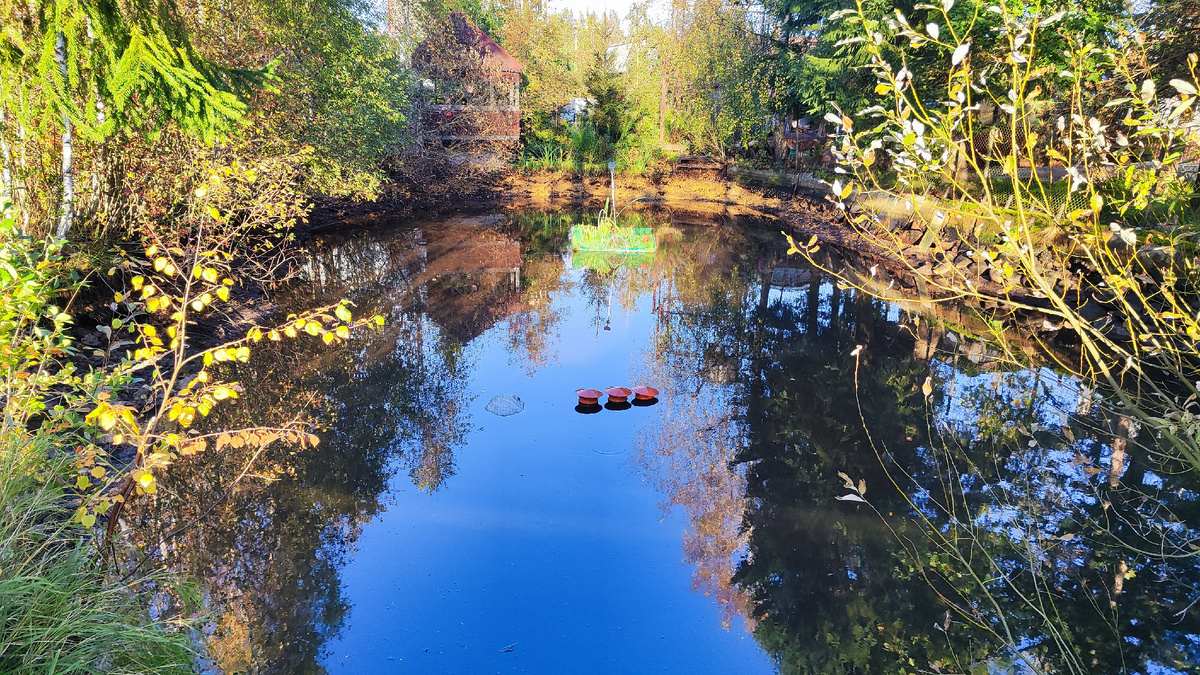  Моими индикаторами являются водозаборы пожарного колодца - тут их видно, потому что пруд набирается после работ по установке