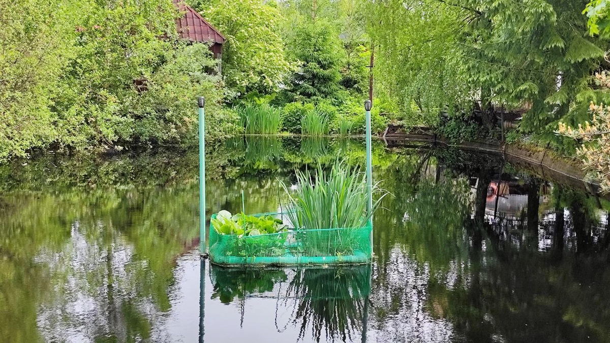 Прудик и плотик