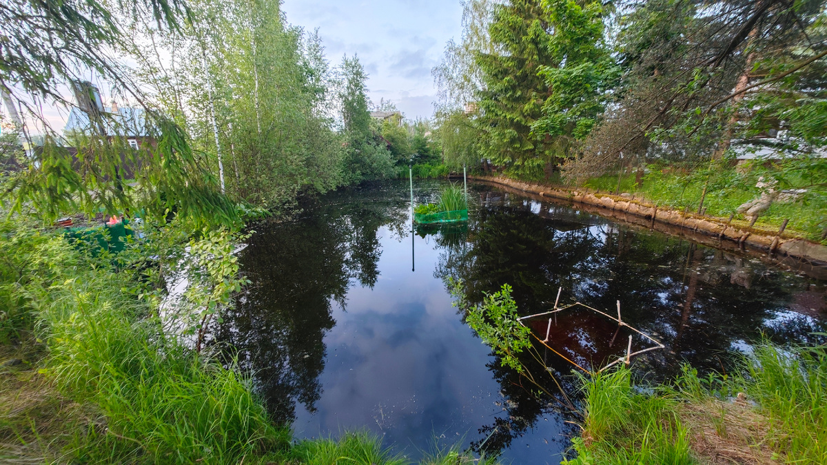 Прудик, плотик и кормовой столик