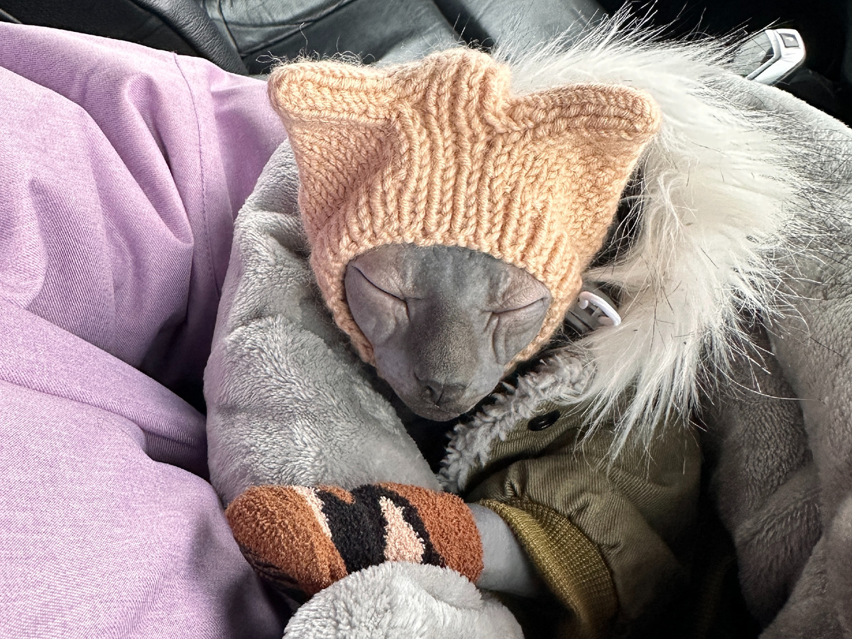 Наша младшая Эль, ей 21 апреля 2026 исполняется год