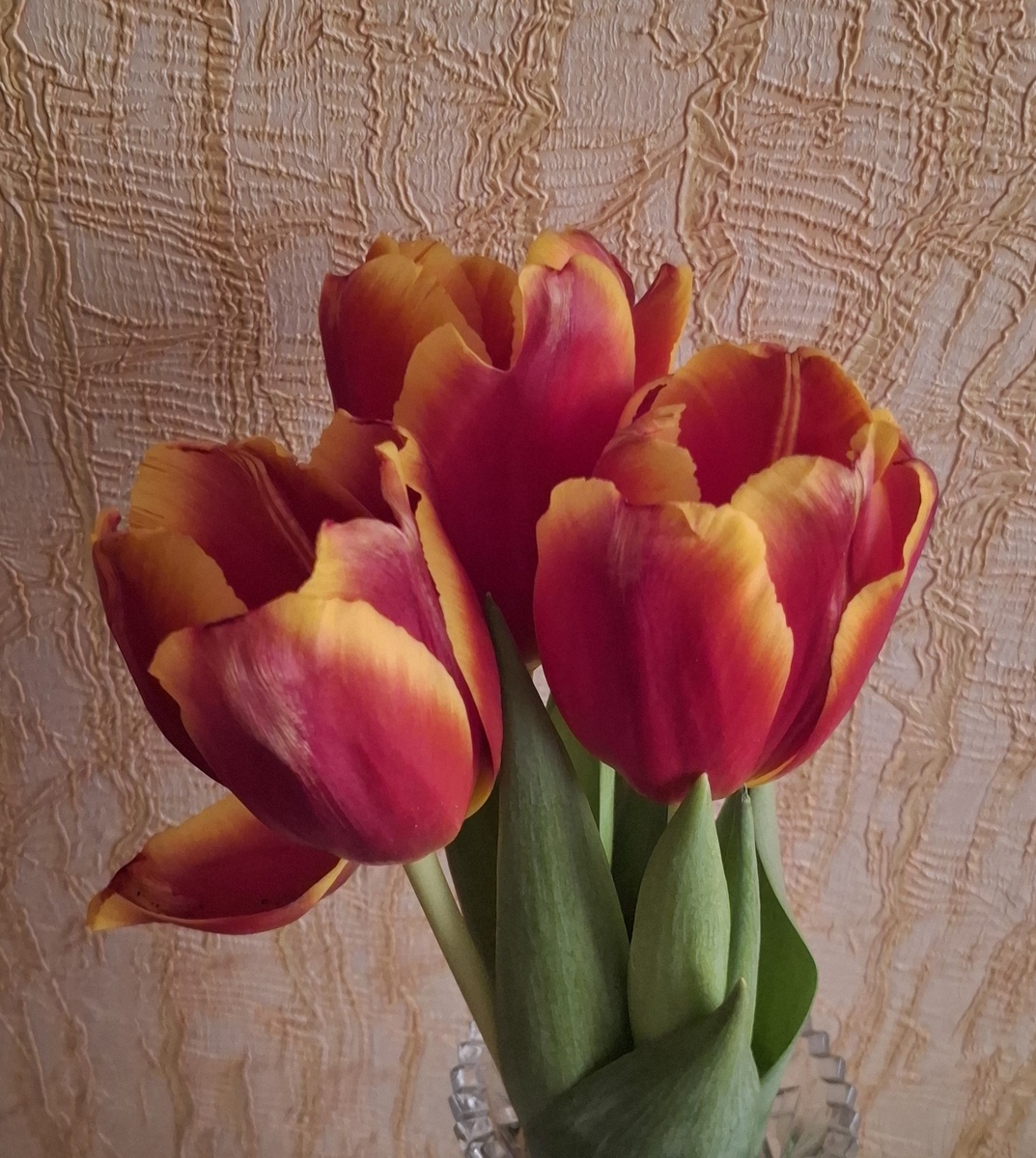 В советские годы советская пропаганда внушала нам, что Запад давно прогнил, и вот-вот там всё рухнет, и соответствующий видеоряд был в программе «Время», и говорили, что всё держится лишь только на дубинках полицаев, и весь этот прогнивший капитализм и империализм скоро рухнет. Проходят десятилетия, а пропаганда всё та же. В Америке госдолг, все живут в долговом рабстве, наркоманы, безработица, геи.