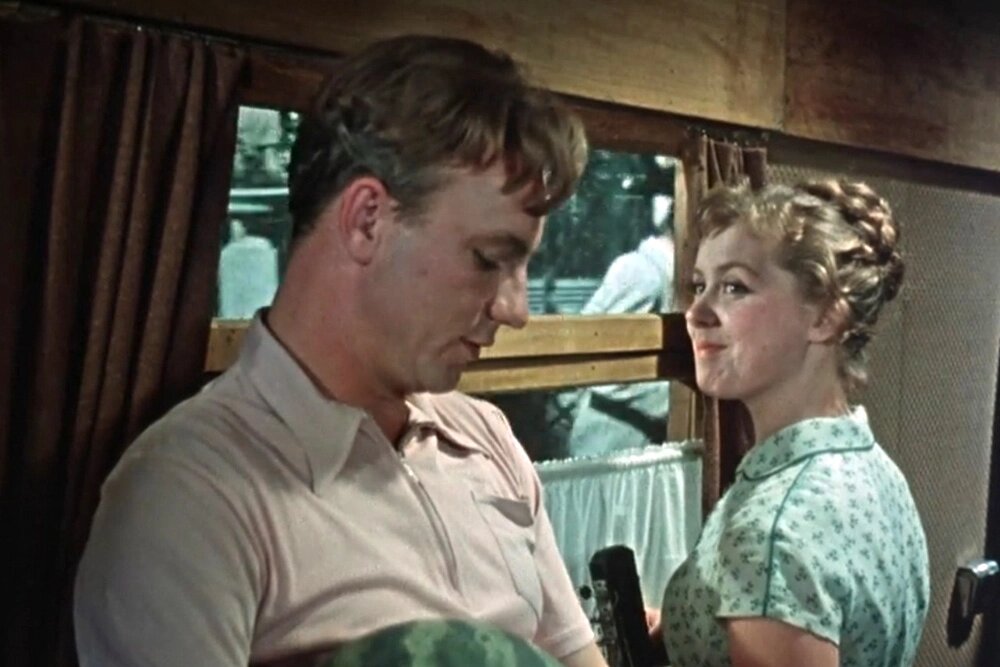    Фото: Коллаж АиФ/ Кадр из фильма