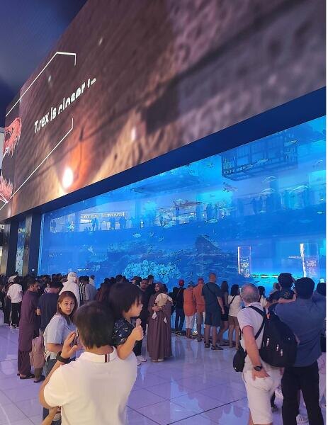    Аквариум в Дубай Молле Фото: Анна Табаева, личный архив