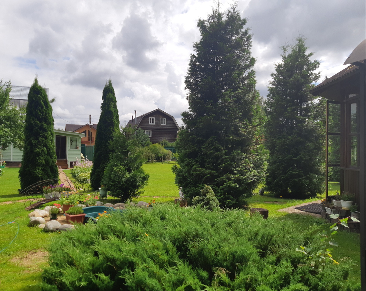 Дача. Фото автора статьи