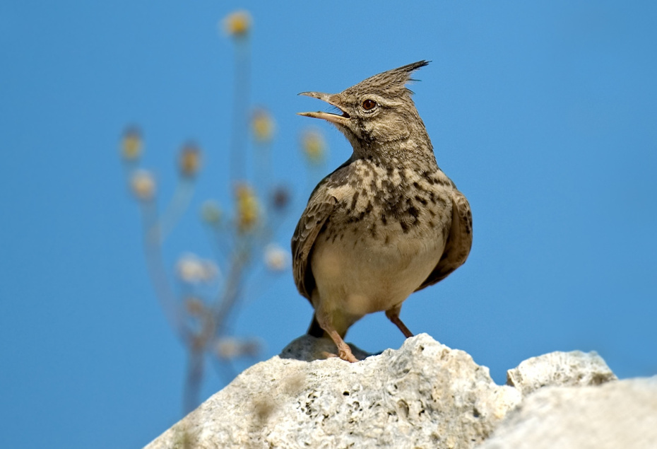    Eduard Kislinsky/Russian Look/Global Look Press