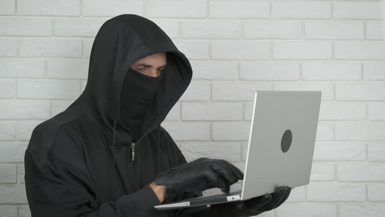 Фото из свободных источников. 