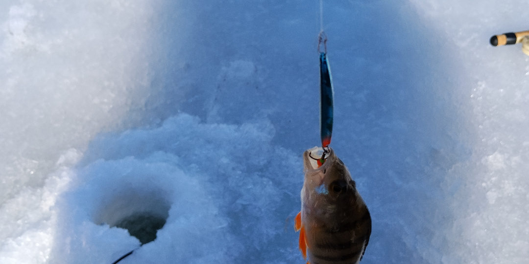 Прощание с зимним сезоном?