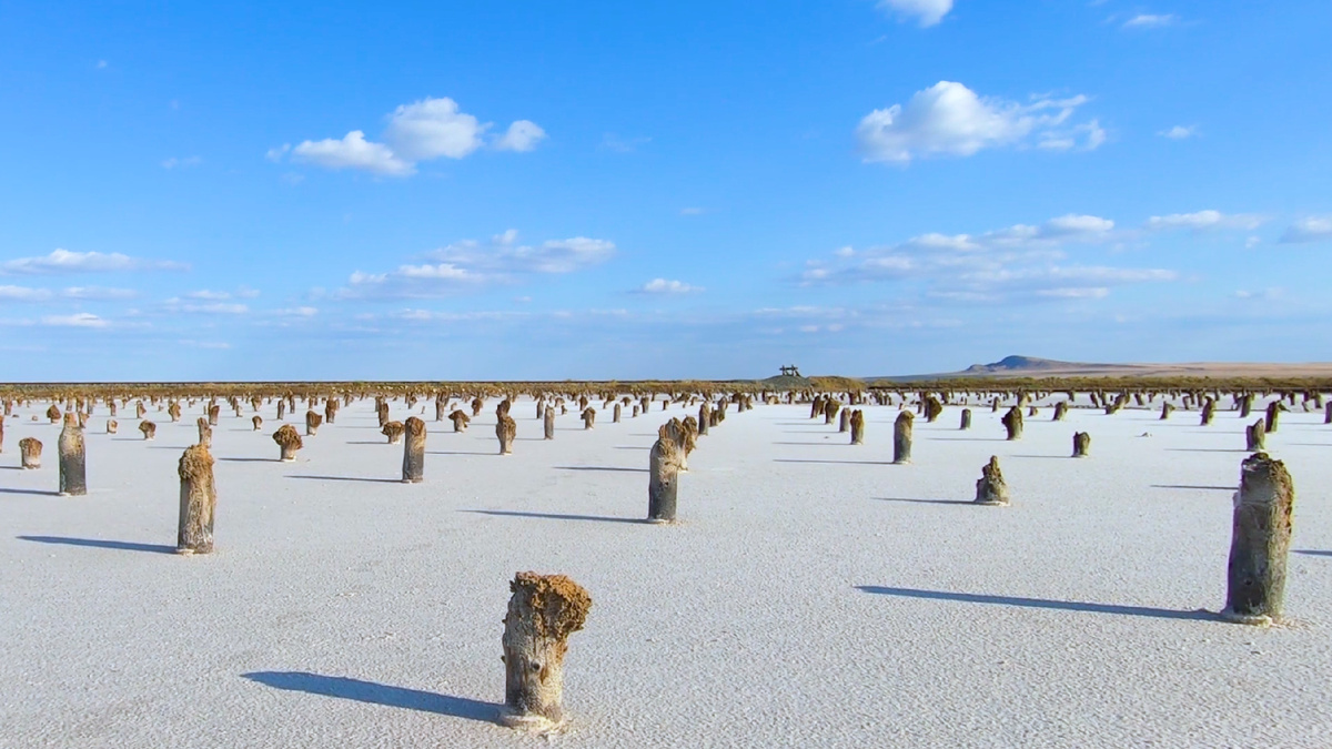 Фото 2. Столбы среди соли
